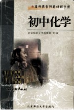 名师典型例题详解手册 初中化学