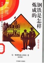 钢铁是怎样炼成的 二