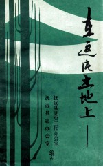 在这片土地上