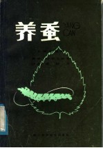 养蚕