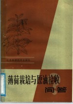 薄荷栽培与原油验收问答