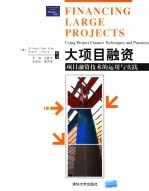 大项目融资 项目融资技术的运用与实践
