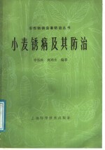 小麦锈病及其防治