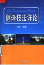 翻译技法详论