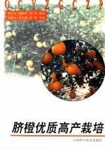 脐橙优质高产栽培