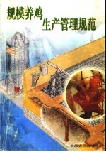 规模养鸡生产管理规范
