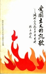 爱国主义的凯歌:湖州人民抗日斗争史料 《湖州文史》第13辑