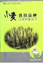 小麦优良品种及其种植技术