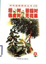 榕树·菩提树·橡皮树·无花果