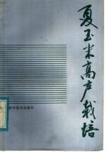 夏玉米高产栽培