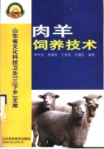 肉羊饲养技术