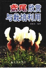 鸢尾欣赏与栽培利用