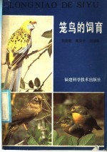 笼鸟的饲育