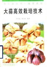 大蒜高效栽培技术