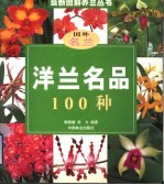 洋兰名品100种 国外名兰