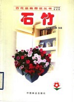 石竹