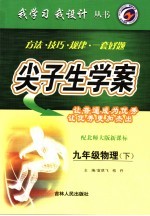 尖子生学案 九年级物理 下 配北师大版新课标