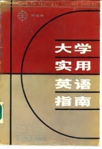 大学实用英语指南