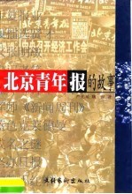 北京青年报的故事 长篇纪实文学