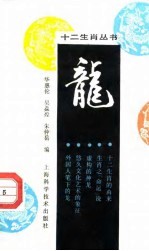 龙