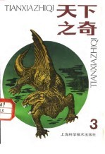天下之奇 3