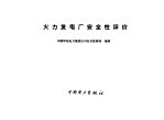 火力发电厂安全性评价