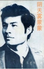 阴天，雾蒙蒙