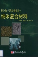 聚合物 天然硅酸盐黏土纳米复合材料