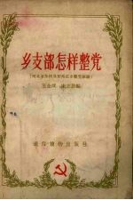 乡支部怎样整党 河北省沙河县东马庄乡整党经验