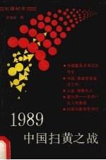 1989中国扫黄之战