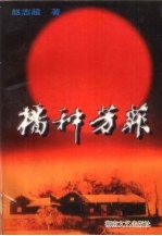 播种芳菲:赵志超报告文学选
