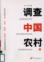 调查中国农村 下