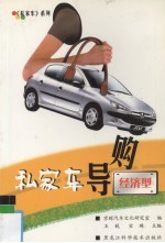 私家车导购-经济型