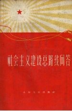 社会主义建设总路线问答