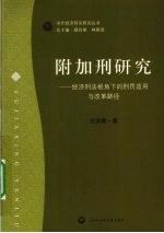 附加刑研究 经济刑法视角下的刑罚适用与改革路径