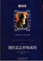 钢铁是怎样炼成的