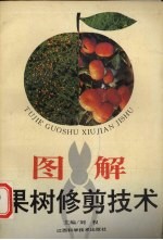 图解果树修剪技术