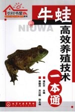 牛蛙高效养殖技术
