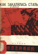 钢铁是怎样炼成的
