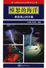 愤怒的海洋 来自海上的灾害