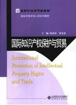 国际知识产权保护与贸易