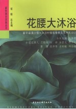 花腰大沐浴 新平县漠沙镇大沐浴村傣族傣雅支系村民日记