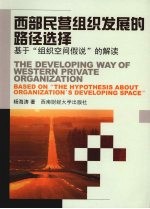 西部民营组织发展的路径选择