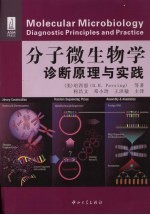 分子微生物学:诊断原理与实践