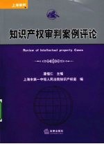 知识产权审判案例评论
