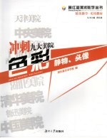 冲刺九大美院 色彩 静物、头像