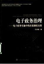 电子政务治理 电子政务实施中的决策制度安排