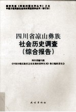 四川省凉山彝族社会历史调查 综合报告
