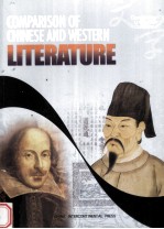 中西文学比较 英文