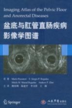 盆底与肛管直肠疾病影像学图谱